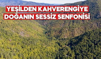 Bolu'da Doğa ve Fotoğraf Tutkunları İçin Eşsiz Bir Kaçış Noktası