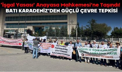 ‘İşgal Yasası’ Anayasa Mahkemesi’ne Taşındı!  BATI KARADENİZ’DEN GÜÇLÜ ÇEVRE TEPKİSİ