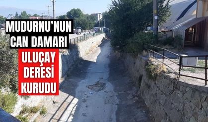 Bolu’da Kuruyan Dereler Köylüye Zor Günler Yaşatıyor