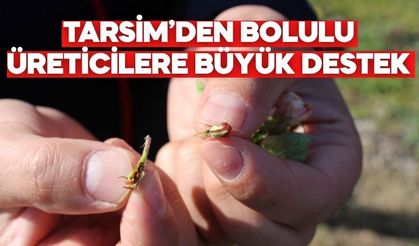 TARSİM’DEN BOLULU ÜRETİCİLERE BÜYÜK DESTEK