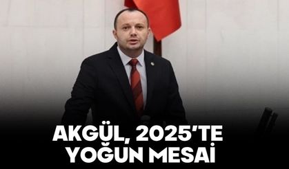 AKGÜL, 2025’TE YOĞUN MESAİ