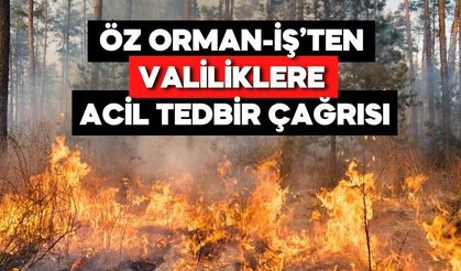 Orman Yangınlarında Korkutan Tablo! Sayılar Her Yıl Artıyor