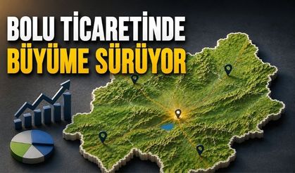 Bolu'da Kurulan Şirket Sayısı Kapananları Geçti