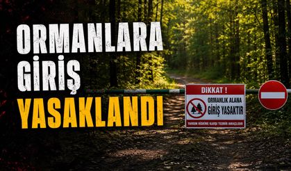 Bolu'da Ormanlara Girişler Yasaklandı