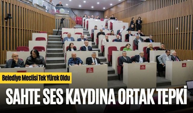 SAHTE SES KAYDINA ORTAK TEPKİ