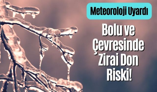 Meteoroloji Uyardı: Bolu ve Çevresinde Zirai Don Riski!