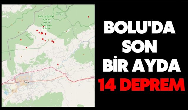 BOLU'DA SON BİR AYDA 14 DEPREM!