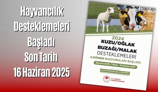 Hayvancılık Desteklemeleri Başladı