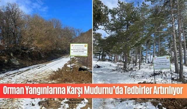 Orman Yangınlarına Karşı Mudurnu’da Tedbirler Artırılıyor