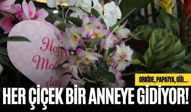 ORKİDE, PAPATYA, GÜL... HER ÇİÇEK BİR ANNEYE GİDİYOR!