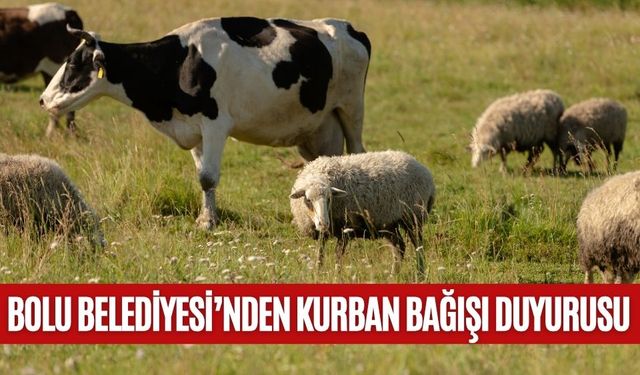 BOLU BELEDİYESİ’NDEN KURBAN BAĞIŞI DUYURUSU