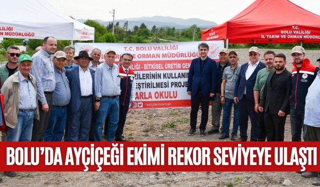BOLU’DA AYÇİÇEĞİ EKİMİ REKOR SEVİYEYE ULAŞTI