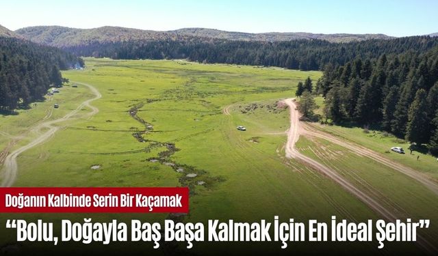 BOLU'DAKİ YAYLALAR DOĞAYLA İÇ İÇE VAKİT GEÇİRMEK İSTEYENLERİ AĞIRLIYOR