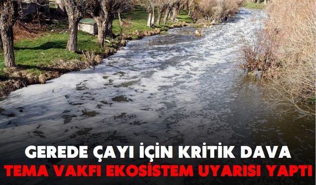 Gerede Çayı için kritik dava: TEMA Vakfı ekosistem uyarısı yaptı