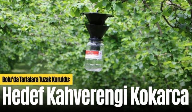 İSTİLACI ZARARLIYA KARŞI ÖNLEM ALINDI