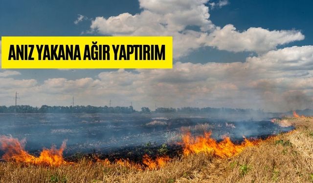 Valilikten Kesin Talimat, ANIZ YAKANA AĞIR YAPTIRIM