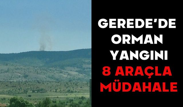 Gerede’de Orman Yangını: 8 Araçla Müdahale