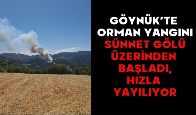 Göynük’te Orman Yangını: Sünnet Gölü Üzerinden Başladı, Hızla Yayılıyor