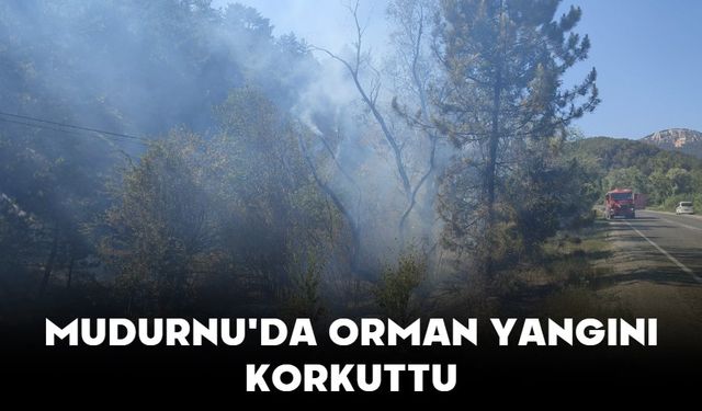 Mudurnu'da Orman Yangını Korkuttu