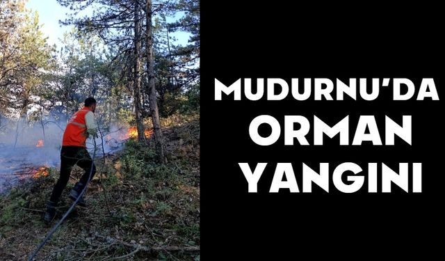 Mudurnu’da Orman Yangını