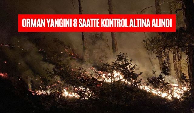 Bolu’daki orman yangını 8 saatte kontrol altına alındı