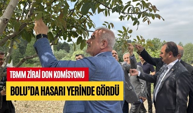 TBMM ZİRAİ DON KOMİSYONU BOLU’DA HASARI YERİNDE GÖRDÜ