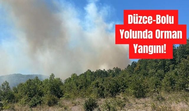 Düzce-Bolu Yolunda Orman Yangını! Ekipler Bölgeye Sevk Edildi