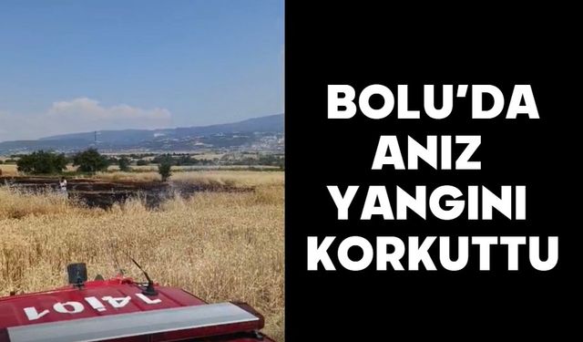 Bolu’da Anız Yangını Korkuttu