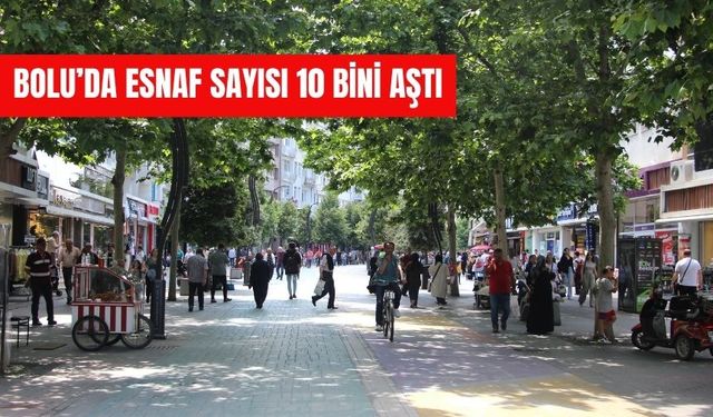 Bolu’da Esnaf Sayısı 10 Bini Aştı