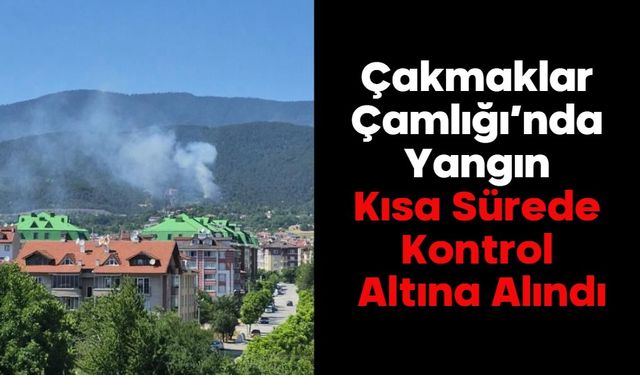 Çakmaklar Çamlığı’nda Yangın Kısa Sürede Kontrol Altına Alındı