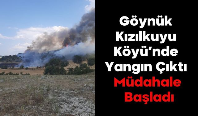 Göynük Kızılkuyu Köyü’nde Yangın Çıktı:  Müdahale Başladı