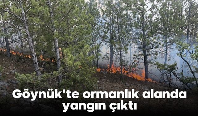 Göynük'te ormanlık alanda yangın çıktı