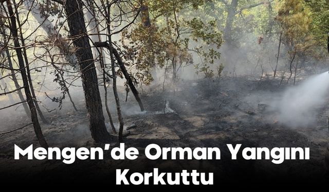 Mengen'de Orman Yangını Korkuttu