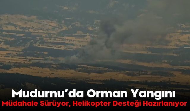Bolu Delice Köyü’nde Orman Yangını:  Müdahale Sürüyor, Helikopter Desteği Hazırlanıyor