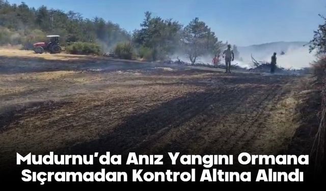Mudurnu’da Anız Yangını Ormana Sıçramadan Kontrol Altına Alındı
