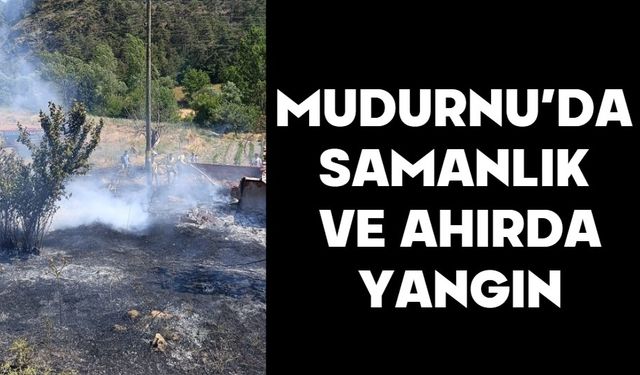 Mudurnu'da samanlık ve ahırda yangın