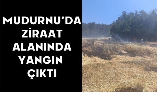 Mudurnu’da Ziraat Alanında Yangın Çıktı