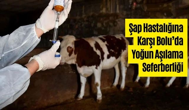 Bolu Veteriner Hekimleri Odası: “Şap insanlara bulaşmaz”