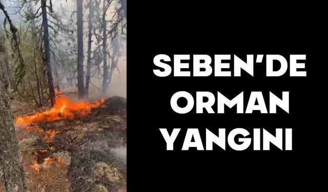 Seben’de orman yangını