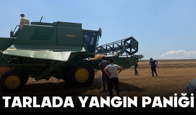 Tarlada Yangın Paniği!