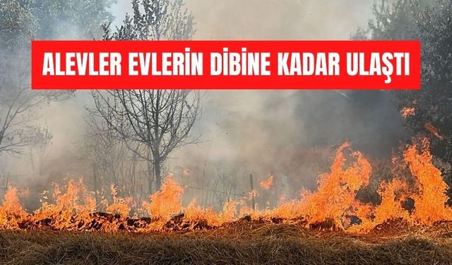Bolu’da faciadan dönüldü: ALEVLER EVLERİN DİBİNE KADAR ULAŞTI