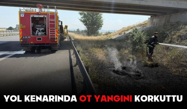 Yol Kenarında Ot Yangını Korkuttu