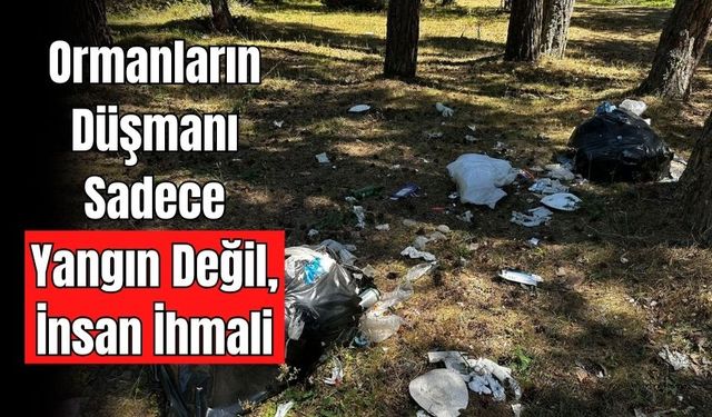 DUYARSIZLIK DOĞAYI HEM ATEŞLE HEM ATIKLA YAKIYOR