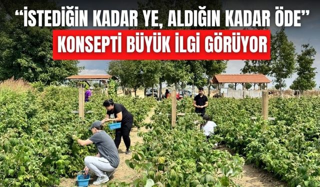 Genç girişimciden 15 dönümlük meyve bahçesi