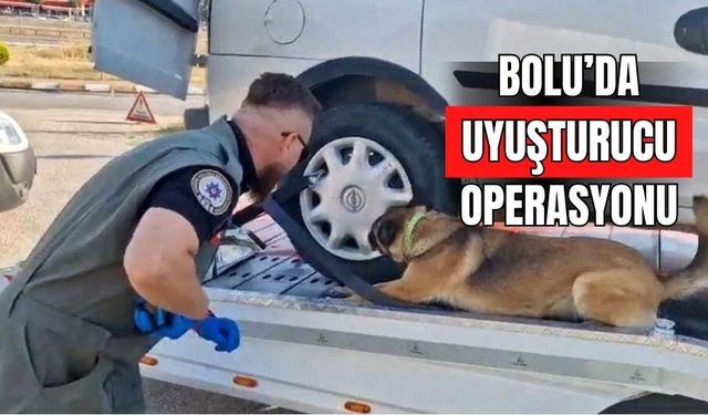 Bolu’da Narkotik Operasyonu