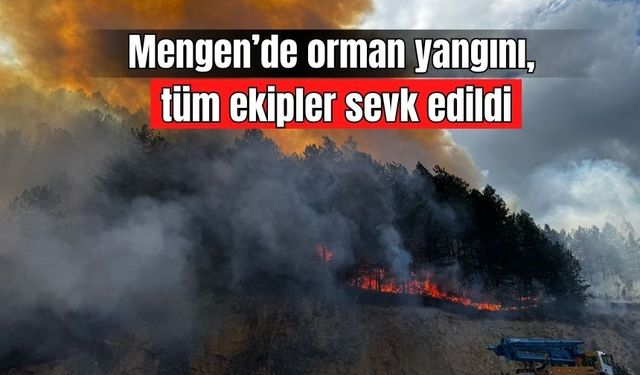 Mengen’de orman yangını, tüm ekipler sevk edildi