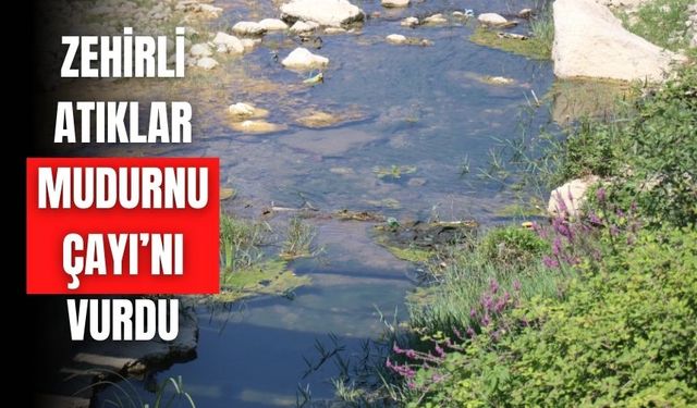 Zehirli atıklar Mudurnu Çayı’nı vurdu