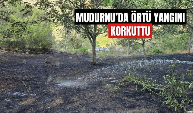MUDURNU’DA ÖRTÜ YANGINI KORKUTTU