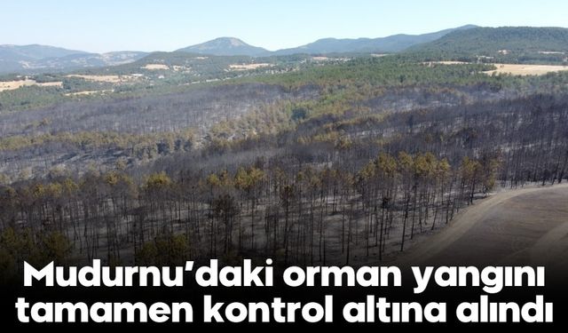 Mudurnu’daki orman yangını tamamen kontrol altına alındı