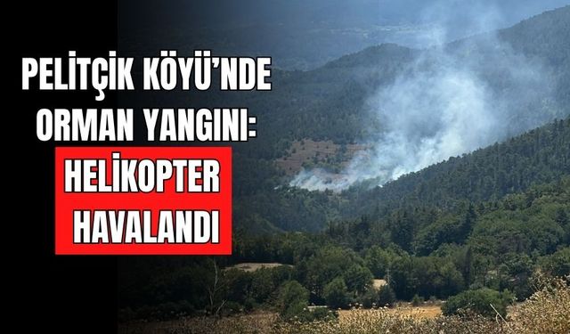 PELİTÇİK KÖYÜ’NDE ORMAN YANGINI: HELİKOPTER HAVALANDI